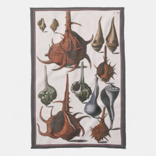 Vintage Seashells, Ocean Sea Shells Marine Life Tea Towel