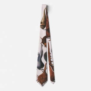 Vintage Seashells, Ocean Sea Shells Marine Life Tie
