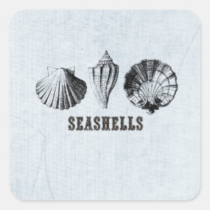 Vintage Seashells Square Sticker