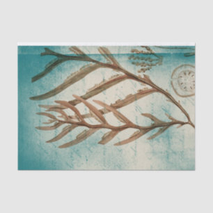 Vintage Seaweed and Sand Dollar Tissue Paper