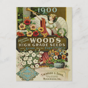 Vintage Seed Ad Postcard