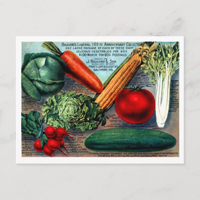 Vintage Seed Ad Postcard (Front)