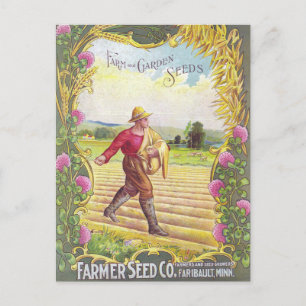 Vintage Seed Ad Postcard