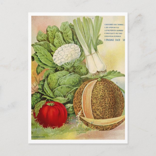 Vintage Seed Ad Postcard (Front)