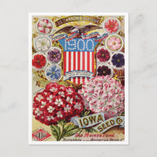 Vintage Seed Ad Postcard