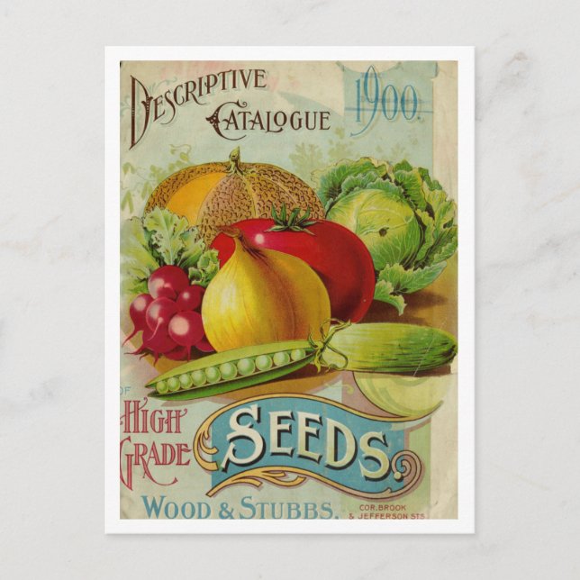 Vintage Seed Ad Postcard (Front)