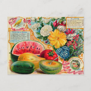 Vintage Seed Ad Postcard