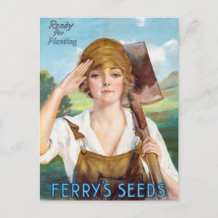 Vintage Seed Ad Postcard