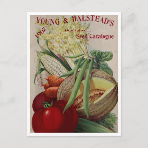 Vintage Seed Ad Postcard