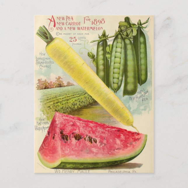 Vintage Seed Ad Postcard (Front)