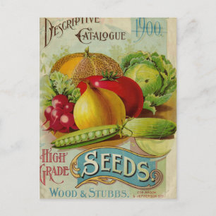 Vintage Seed Ad Postcard
