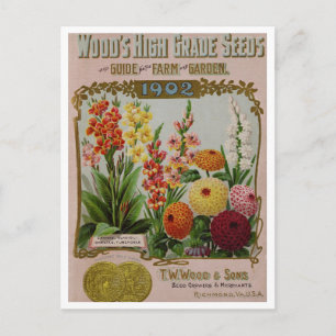 Vintage Seed Ad Postcard