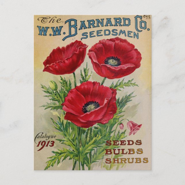 Vintage Seed Ad Postcard (Front)