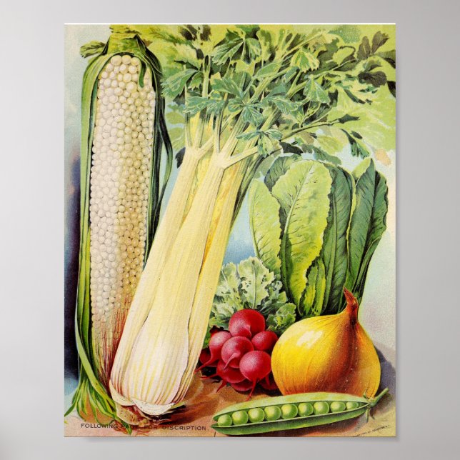 Vintage Seed Advertisement Poster (Front)