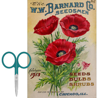 Vintage Seed Catalogue Barnard Bulbs, Shrubs 1913 Tissue Paper