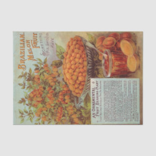 Vintage Seed Catalogue Brazilian Melon Fruit Tissue Paper