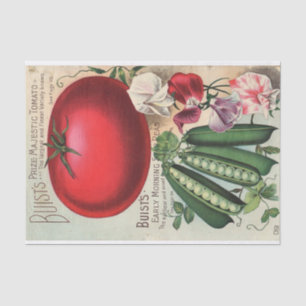 Vintage Seed Catalogue Buist's Company Tissue Paper