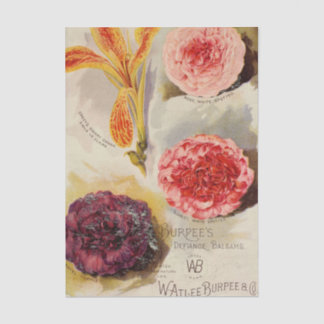 Vintage Seed Catalogue, Burpee's Defiance Balsams Tissue Paper