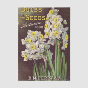 Vintage Seed Catalogue DM Ferry Bulbs and Seeds 18 Tissue Paper