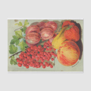 Vintage Seed Catalogue Fruits Tissue Paper