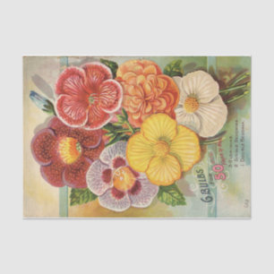 Vintage Seed Catalogue Gloxinias and Begonias Tissue Paper