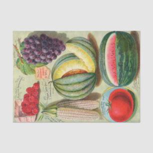 Vintage Seed Catalogue Iowa Fruits and Vegetables Tissue Paper