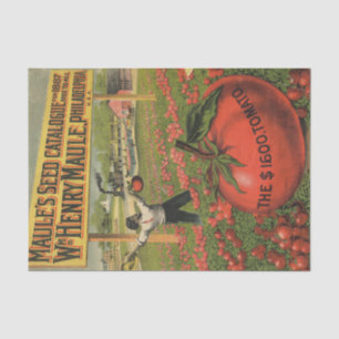 Vintage Seed Catalogue Maule's 1887 $1600 Tomatoe Tissue Paper