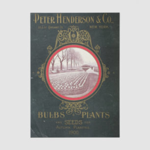 Vintage Seed Catalogue Peter Henderson Co., 1900 Tissue Paper