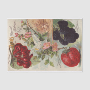 Vintage Seed Catalogue Reid's Annual Catalogue, 18 Tissue Paper