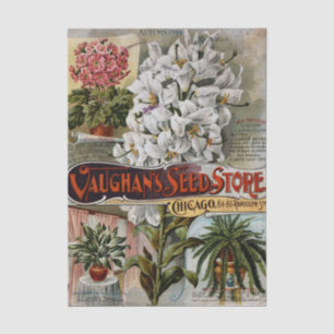 Vintage Seed Catalogue, Vaughan's Seeds 1899 Flowe Tissue Paper