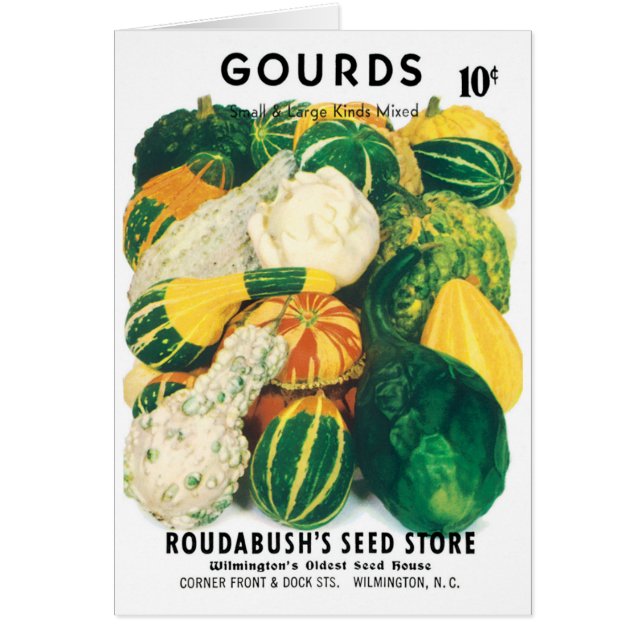 Vintage Seed Packet Art, Mixed Gourds Squash (Front)
