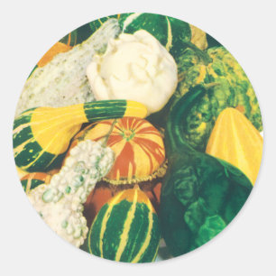 Vintage Seed Packet Art, Mixed Gourds Squash Classic Round Sticker