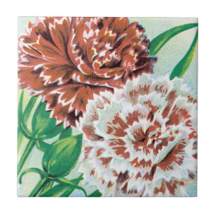 Vintage Seed Packet Art, Pinks Carnation Flowers Ceramic Tile