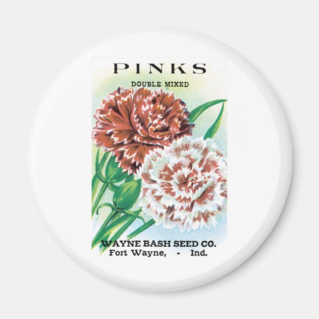 Vintage Seed Packet Art, Pinks Carnation Flowers Magnet (Front)