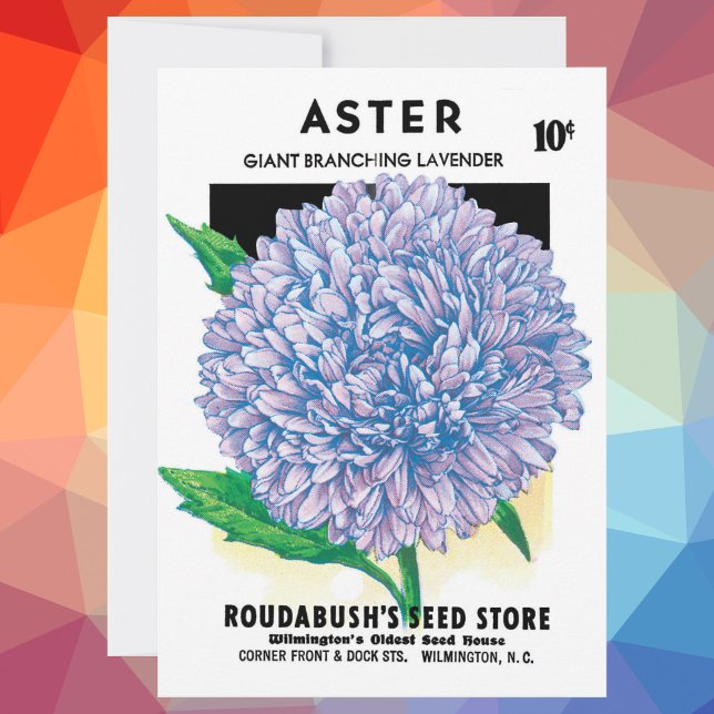 Vintage Seed Packet Art, Purple Aster Flowers (Creator Uploaded)