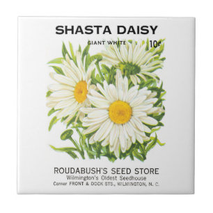 Vintage Seed Packet Art, Shasta Daisy Flowers Ceramic Tile
