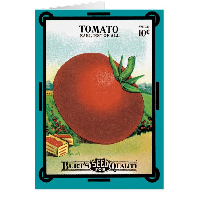 Vintage Seed Packet Label Art, Burt's Seed Tomato (Front)