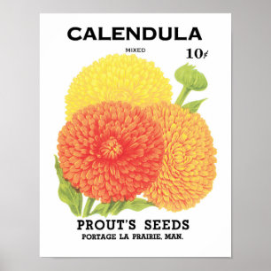 Vintage Seed Packet Label Art, Calendula Flowers Poster