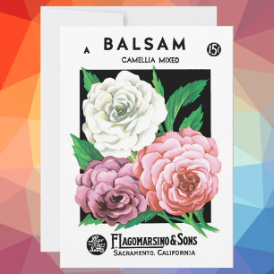 Vintage Seed Packet Label Art, Camellia Flowers