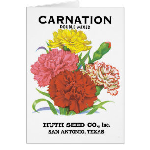 Vintage Seed Packet Label Art, Carnation Flowers