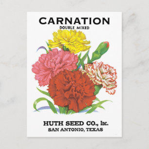 Vintage Seed Packet Label Art, Carnation Flowers Postcard
