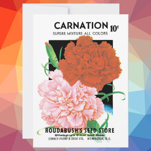 Vintage Seed Packet Label Art, Carnations Flowers