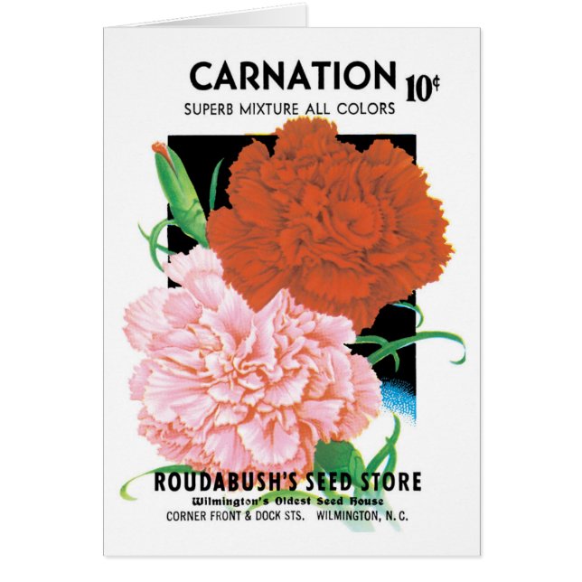 Vintage Seed Packet Label Art, Carnations Flowers (Front)
