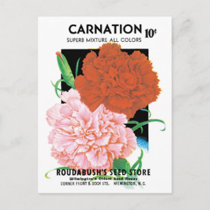 Vintage Seed Packet Label Art, Carnations Flowers Postcard