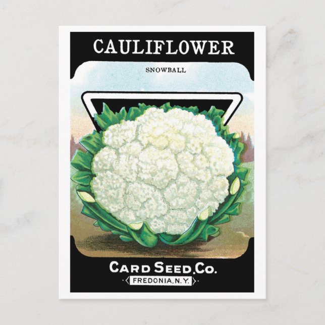 Vintage Seed Packet Label Art, Cauliflower Veggies Postcard (Front)