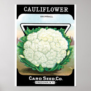 Vintage Seed Packet Label Art, Cauliflower Veggies Poster