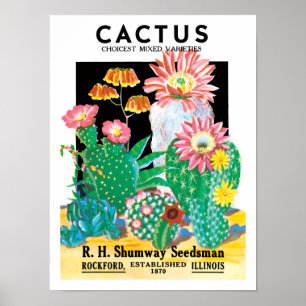 Vintage Seed Packet Label Art Desert Cactus Plants Poster