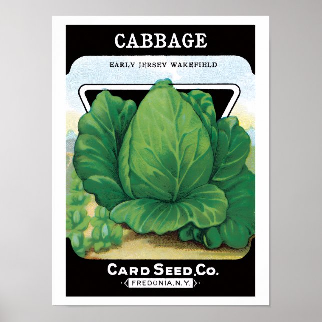 Vintage Seed Packet Label Art, Green Cabbage Poster (Front)