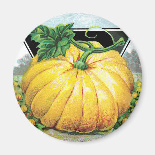 Vintage Seed Packet Label Art, Halloween Pumpkin Magnet