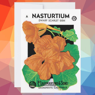 Vintage Seed Packet Label Art, Nasturtium Flowers